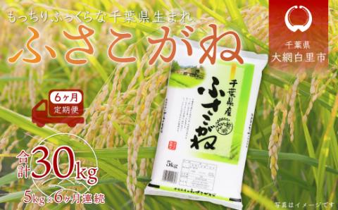 ＜6ヶ月定期便＞千葉県産「ふさこがね」5kg×6ヶ月連続 計30kg A021