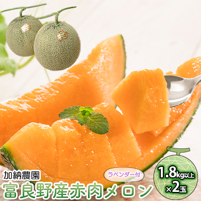 【2026年7月～発送】富良野産 赤肉 メロン ≪ラベンダー付≫ 2玉 計3.6kg以上 北海道 富良野市 (加納農園) メロン フルーツ 果物 新鮮 甘い 贈り物 ギフト 道産 ジューシー おやつ ふらの ブランド 夏 