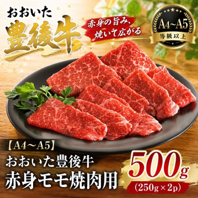 
                  ＜A4～A5＞おおいた豊後牛赤身モモ焼肉用 500g(250g×2p)【1764377】
                