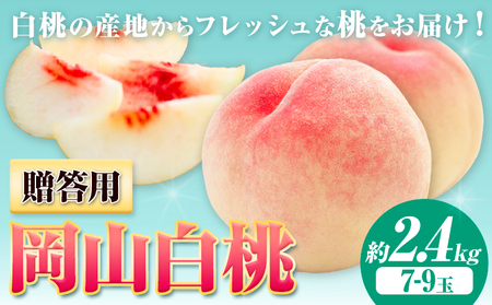 贈答用 桃  2.4kg ハレノフルーツ（犬塚農園）【配送不可地域あり】