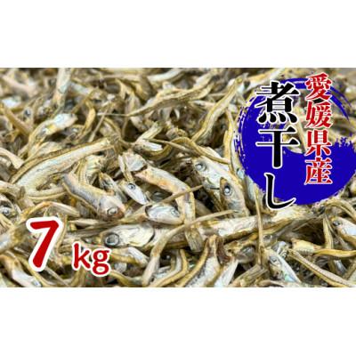 ふるさと納税 伊予市 伊予煮干 いりこ 7kg 【2026年10月以降発送】 伊予灘産 瀬戸内海