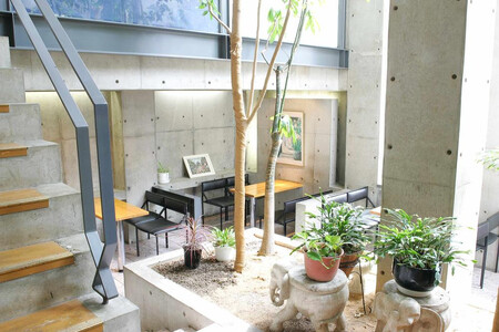 【まざあぐうす】京の抹茶ティラミスチーズケーキ12cm｜京都 スイーツブランド ケーキ 人気 