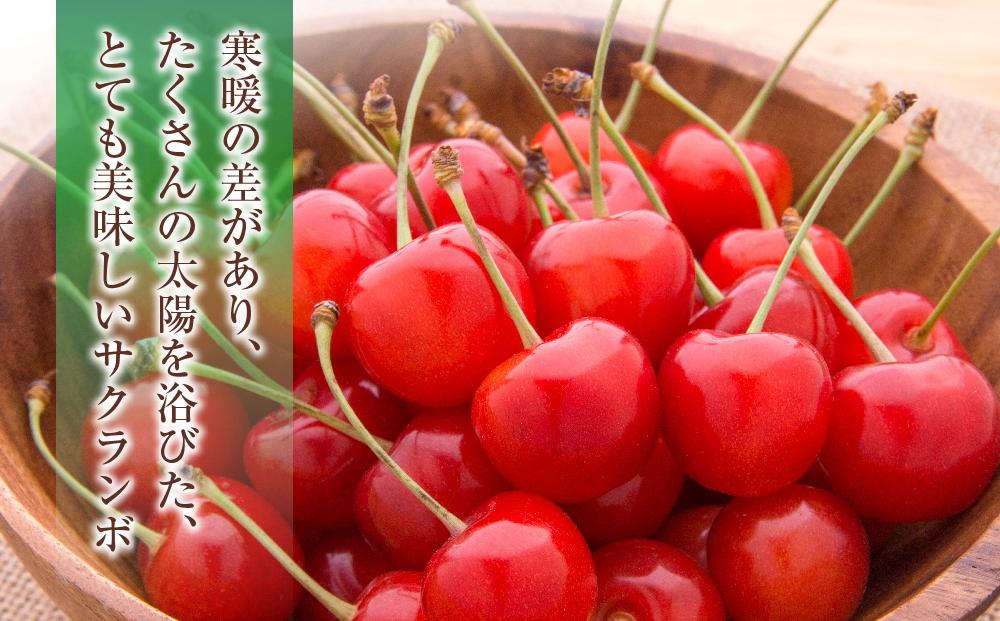 【先行予約】近澤果樹園 小分けで食べやすい「佐藤錦」L~2Lサイズ バラ詰め800g（200g×4パック）（2025年7月上旬より発送予定）【 さくらんぼ サクランボ 果物 くだもの フルーツ デザー