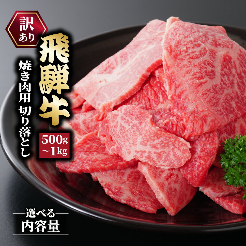 【ふるさと納税】＼選べる内容量／訳あり 飛騨牛 焼き肉用 切り落とし 牛 牛肉 焼肉 BBQ バーベキュー 切り落とし　お届け：12月中旬～1月初旬のお申込は1月中旬以降の順次出荷になる　※離島への配送不可