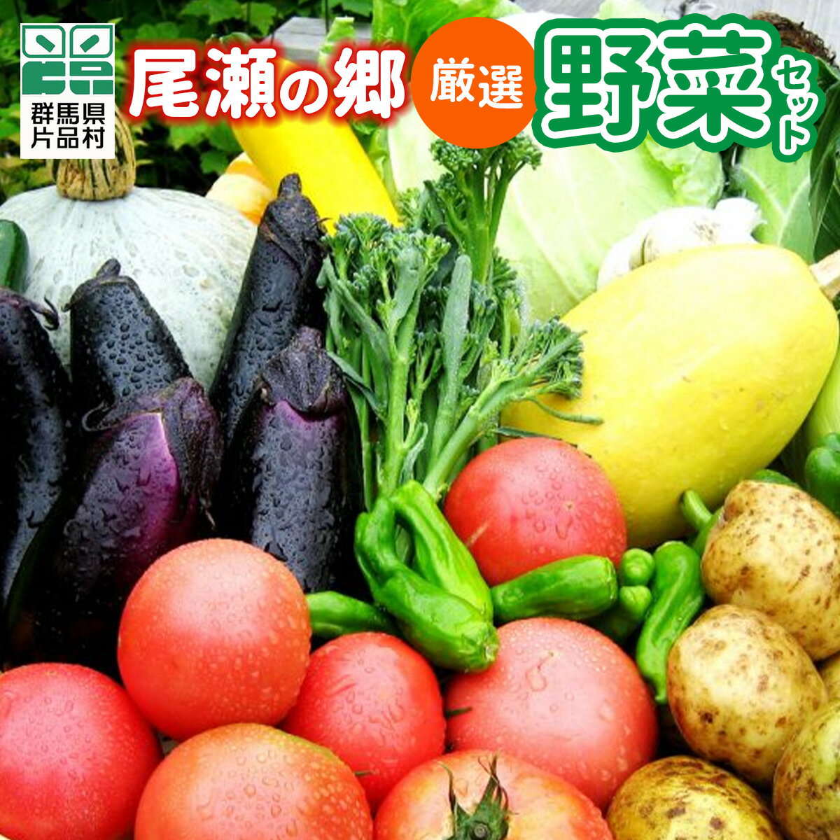 【ふるさと納税】 尾瀬の郷 野菜セット 野菜 詰め合わせ 季節の野菜 旬の野菜 旬野菜 群馬県産 片品村