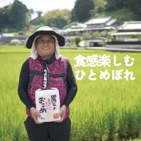 精米味くらべセット　令和8年産コシヒカリ・ひとめぼれ各5kg（9月末頃より順次出荷予定）