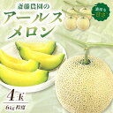 【ふるさと納税】斎藤農園のアールスメロン(マスクメロン)4玉 6kg程度≪先行予約2025年6月下旬以降発送分≫【配送不可地域：北海道・青森・秋田・岩手・沖縄・離島】高級　極上 果物 フルーツ 産地直送 プレゼント 和歌山県産 御坊産 送料無料