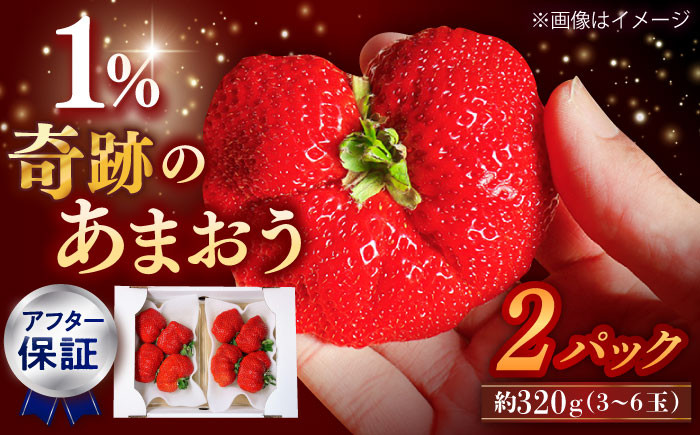 
            【収穫率1%！】【アフター保証】超大玉 あまおう  約320g×2パック【1月上旬より順次配送】 ▼博多あまおう   福岡  博多 イチゴ 苺  あまおう  いちご 果物 福岡県 福岡県産 桂川町/高嶋園芸[ADAT001]
          