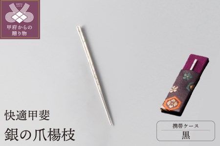 快適甲斐 銀の爪楊枝（黒ケース）