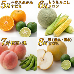フルーツ 野菜 定期便 6回 定期