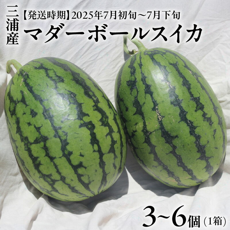 【ふるさと納税】 マダーボールスイカ 3個 〜 6個 スイカ すいか 西瓜 フルーツ 果物 果実 小玉 ジューシー 甘い 数量 期間 限定 一人サイズ おいしい デザート みずみずしい 高糖度 国産 旬の果物 贈答 くろぜむ農園 神奈川 三浦市 おすすめ ランキング プレゼント ギフト
