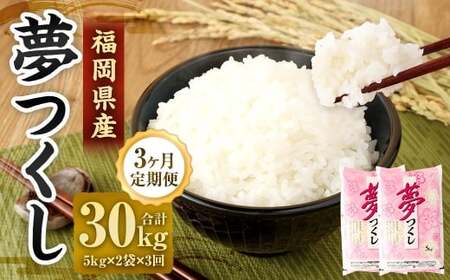 【3ヶ月定期便】 精米 食味鑑定士厳選 夢つくし 10kg（5kg×2袋）×3ヶ月 合計30kg 米 こめ コメ お米 単一原料米