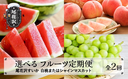 
            【先行予約】 選べる！フルーツ定期便  全2回  スイカ もも/シャインマスカットから選べる 秀品 2026年7月中旬~発送開始 2026年産 令和8年産 佐竹物産 ※沖縄・離島への配送不可 sb-fts2x
          