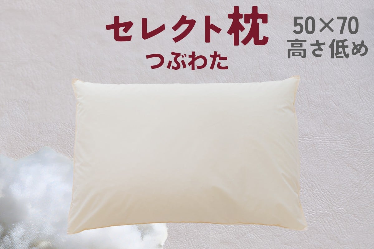 
            セレクト枕 つぶわた 標準タイプ 中央くぼみタイプ 低め（50×70cm） 普通 （50×70cm）
          
