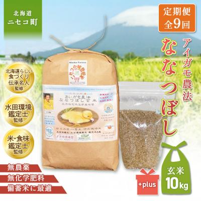 ふるさと納税 ニセコ町 《令和8年産米》【9回定期便】合鴨農法ななつぼし 【玄米】10kg(1kg×10袋)【31076】