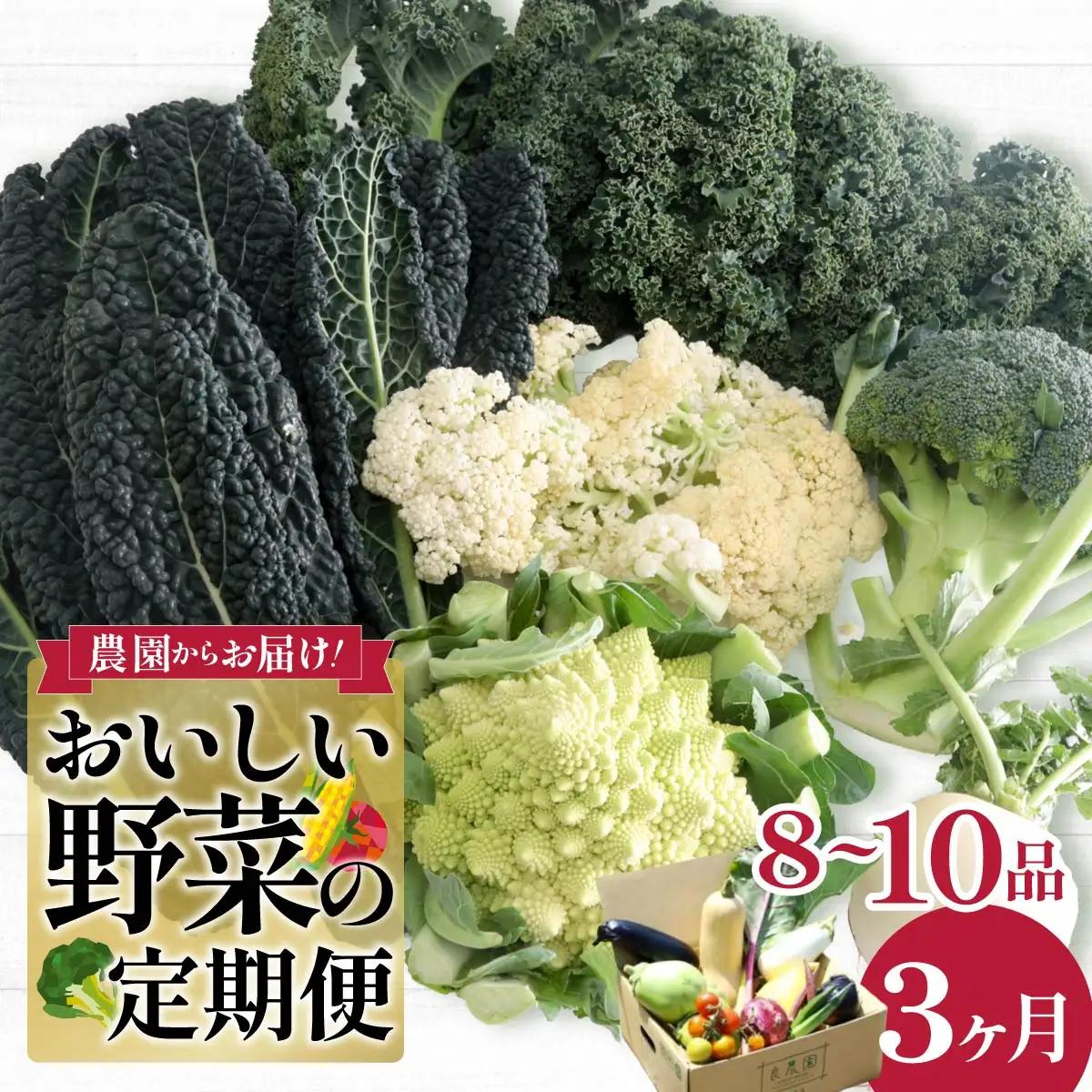 西洋野菜 一般野菜 旬野菜セット 8～10品 定期便 3ヶ月 | やさい
