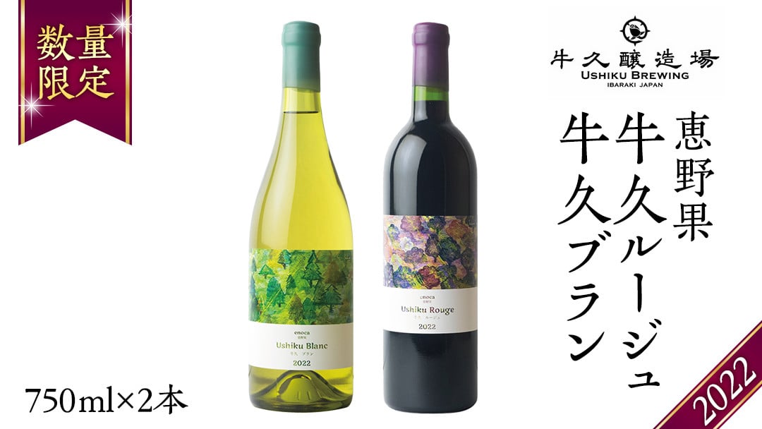 
            恵野果 牛久ルージュ 2022・恵野果 牛久ブラン 2022 の 750ml×2本セット 茨城県産 牛久醸造場 日本ワイン ワイン 赤ワイン 白ワイン 750ml ミディアムボディ お酒 贈り物 葡萄 ぶどう
          