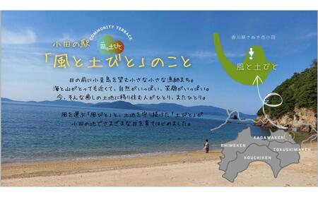 【農薬・化学肥料不使用】旬のお野菜おまかせセット 6～7品 | 野菜 野菜 野菜 野菜 野菜
