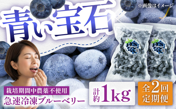 【全2回定期便】青い宝石 国産 急速冷凍ブルーベリー 計約1kg（約500g×2袋） 果物 くだもの フルーツ ぶるーべりー 熊本県 菊陽町【アグファーム株式会社】 [BHCX010]
