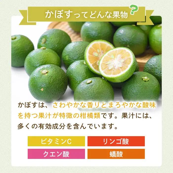 ＜先行予約受付中！2026年8月上旬以降順次発送予定＞かぼす(5kg)柑橘 かんきつ 大分県産直【112600100】【ａｎｄＫ】