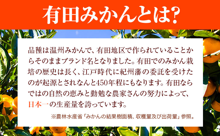 迫力満点！大粒 有田みかん 2L-4Lサイズ 約10kg 有田マルシェ《11月上旬-1月上旬頃出荷》和歌山県 日高町 みかん 大粒 有田みかん 温州みかん 柑橘 フルーツ ミカン 蜜柑---wsh_a