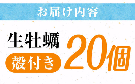 高品質の牡蠣を産地直送！ 【生牡蠣】【着日指定可能】『てつまるかき』牡蠣 殻付き 20個 加熱用 かき 海鮮 海産物 簡単 広島県産 江田島市/有限会社テツマル海産[XCO006]