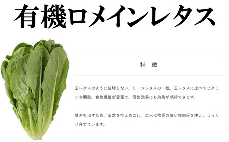 【3ヵ月定期便】すっぴん有機やさいセット(小松菜・水菜・ロメインレタス)【 茨城県 つくば市 定期 定期便 野菜 小松菜 ロメインレタス 野菜 水菜 鍋 鍋もの 野菜 やさい ベジタブル 野菜 有機野