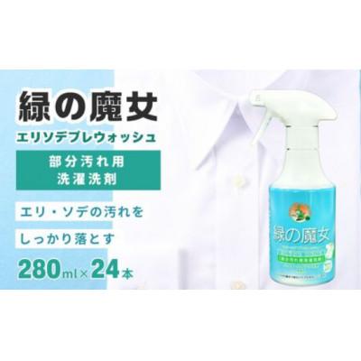 ふるさと納税 龍ケ崎市 新製品　2024年春頃発売　部分洗い洗剤　無香料　緑の魔女エリソデプレウォッシュ　280mL×24 |  | 01
