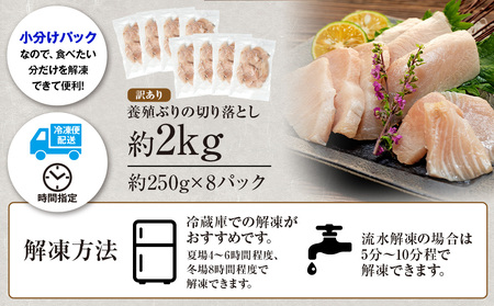 【訳あり】ブリ切り落とし約2kg南予ビージョイ訳あり|D021-150008