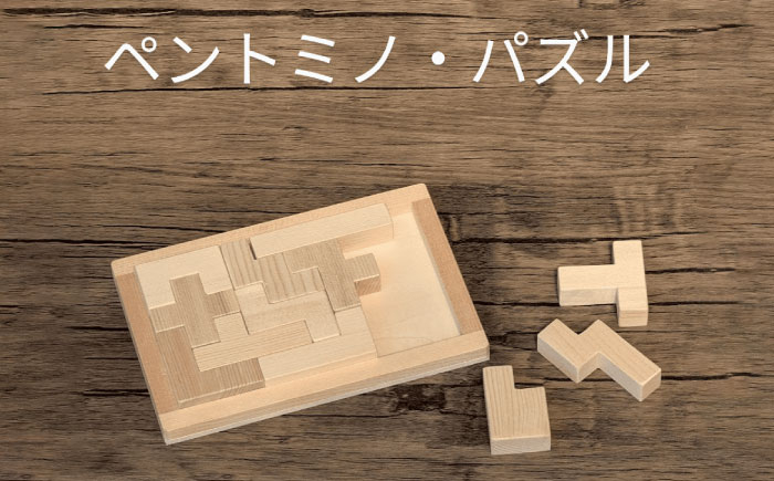 
                  木製ブロック ペントミノ・パズル 知育玩具 脳トレ リハビリ 積み木 自然素材 愛西市 / クニミチ工芸 [AECK002]
                