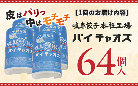 餃子 【3回定期便】 岐阜餃子64個入り [ANEY008] 餃子