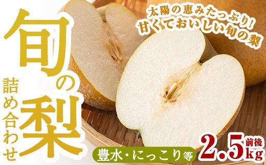 A-138 ＜先行予約受付中！2025年8月中旬～10月上旬の間に発送予定＞梨詰め合わせ(約2.5kg前後)【さくら農園】