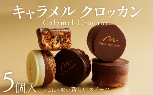 焼き菓子 キャラメルクロッカン 5個入 キャラメル クロッカン チョコ チョコレート カカオ スイーツ お菓子 焼菓子 おやつ デザート 洋菓子 ギフト プレゼント 贈り物 お祝い 御歳暮 お歳暮 記念日 人気 おすすめ 京都 八幡 パティスリーナチュールシロモト ナチュールシロモト