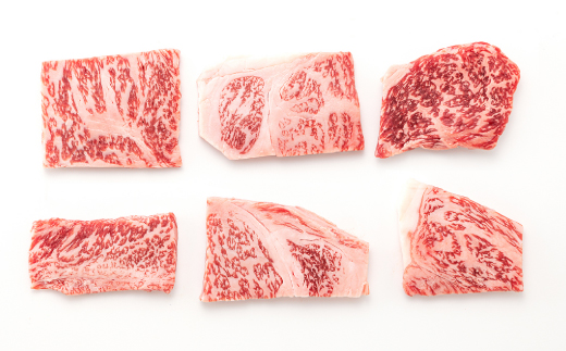 AB326.博多和牛ロース・焼肉用（約300g）