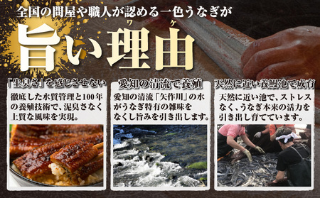 三河一色産うなぎ蒲焼 3尾（約480g）・O067