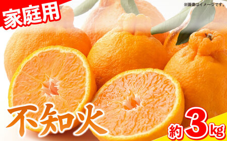 しらぬい 不知火 3kg 家庭用 訳あり9～10個入り みかん 柑橘 不知火 不知火 しらぬい