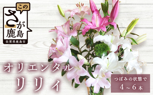 B-313【生産者直送】高レビュー5.0 幸せと笑顔を届けるオリエンタルリリィ ユリ 百合 花 切り花 フラワー 艶やか 美しい 華やか 可憐 鮮やか 長持ち 強い 有機肥料 自然 人気 ラッピング プレゼント 贈り物 贈答 佐賀県 鹿島市 送料無料