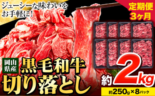 牛肉【3ヶ月定期便】 肉 黒毛和牛 切り落とし 訳あり 大容量 小分け 2kg 1パック 250g 定期便《お申込み月翌月から出荷開始》岡山県産 岡山県 笠岡市 お肉 にく カレー 牛丼 切り落し 切落し