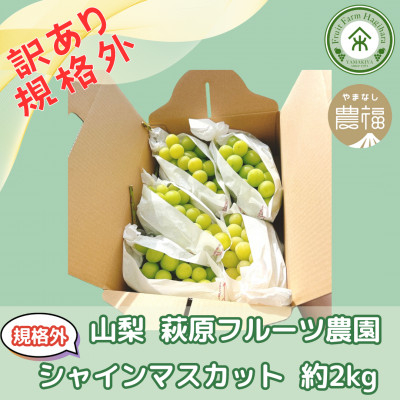 
            ＜2026年先行予約＞山梨・萩原フルーツ農園の訳ありシャインマスカット(規格外 約2kg)【1544663】
          