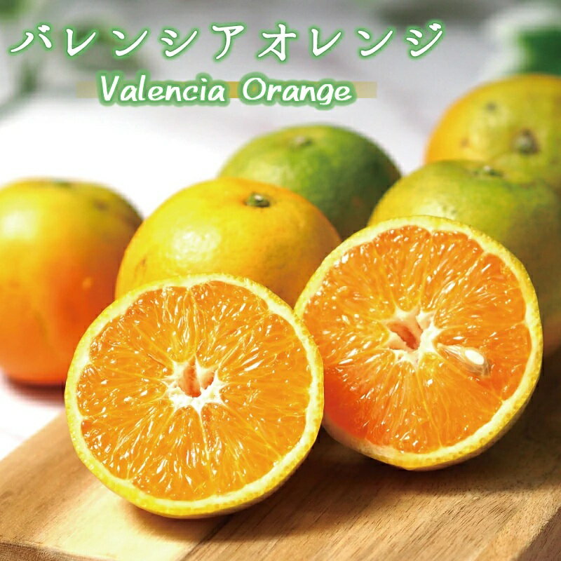 【ふるさと納税】 秀品 希少な国産バレンシアオレンジ 約2.5kg 約5kg 【2025年6月下旬頃～7月中旬頃順次発送】【先行予約】 | フルーツ 果物 くだもの 食品 人気 おすすめ 送料無料 産地直送