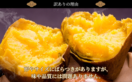 ＼焼き芋も天ぷらもおまかせ！／神崎町産べにあずま 訳あり さつまいも 10kg｜ホクホク甘い万能タイプ（9月・12月～1月中旬に順次発送） [016-a002]