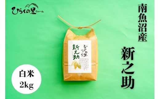 【新米予約2026年10月中旬以降発送】【令和8年産】金賞 南魚沼産新之助 白米2kg きらめく大粒！ ひらくの里ファーム【銘柄米 ブランド米 精米 新之助 魚沼産 新潟米 産地直送 お米 米 こめ コメ ご飯 御飯 ごはん】