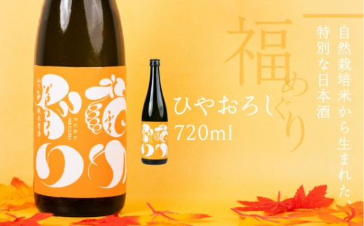 
                  【期間限定】福めぐりシリーズ　福めぐり　ひやおろし（純米原酒）720ml×1本
                
