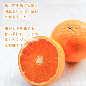 【2027年3月中旬頃から順次発送】低農薬栽培清見 5kg | 数量選択可 清見 みかん ミカン 蜜柑 柑橘 数量限定 愛媛県産 松山市 中島 低農薬 愛媛 ふるさと納税 【NO034】
