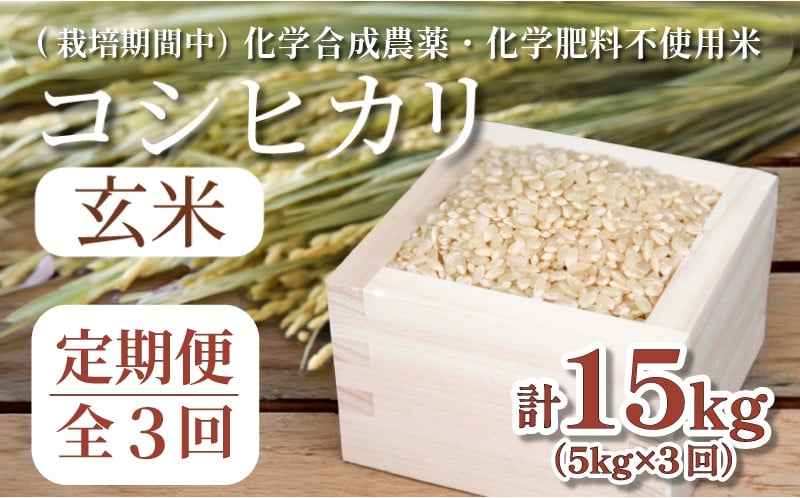 
                  【令和7年産】玄米 定期便 3回  米 コシヒカリ 計15kg 5kg × 3回 お米 おこめ こめ ごはん 国産 白飯 ご飯 TKG 卵かけご飯 おにぎり おむすび 新生活 ふるさと ランキング 栄養 健康 安全 化学合成農薬不使用  いのち育む田んぼ米 生物多様性 送料無料 【北海道･東北･沖縄･離島への配送不可】 徳島県 小松島市  
                