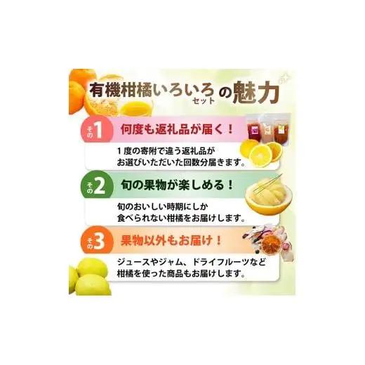 全 3回 3ヶ月 果物 定期便 ぽんかん 土佐文旦