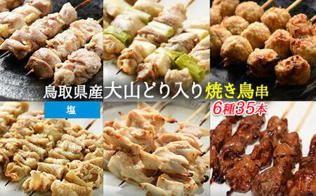 Y170 大山どりもも串など人気焼き鳥串35本セット（塩）