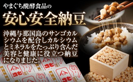 【手作業で納豆詰め】北海道十勝産大豆 やまぐち醗酵食品 安心安全納豆 70g×15個セット 有限会社 やまぐち醗酵食品 《30日以内に出荷予定(土日祝除く)》 北海道 本別町 国産納豆 朝食 詰合せ 