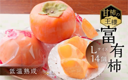 [先行予約／令和7年産]《柿の王様》加藤果樹園のフレッシュパック富有柿Lサイズ14個入り 低温熟成 1月上旬～1月下旬発送予定 [0782] [mt023]｜かき 富有柿 ふゆうがき フルーツ カキ 果物 くだもの 産地直送 岐阜県 本巣市