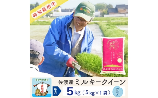 【令和8年産新米 9ヶ月】佐渡島産ミルキークイーン 無洗米 5kg 特別栽培米